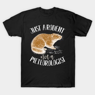 Just a rodent, not a meteorologist funny groundhog day gift T-Shirt